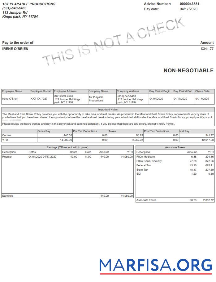 Blank Playable Productions Paystub download for verification